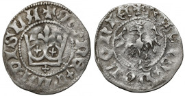 Władysław II Jagiełło, Półgrosz Kraków - typ 15 - znak +