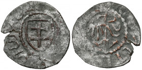 Władysław II Jagiełło, Trzeciak Kraków - falsyfikat Łucki