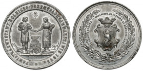 Medal, Wystawa Rolniczo-Przemysłowa w Warszawie 1885