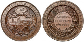 Medal, Wystawa Krajowa Rolnicza i Przemysłowa... Kraków 1887 (Pittner)