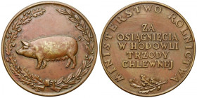 Medal nagrodowy Ministerstwa Rolnictwa - Hodowla Trzody Chlewnej