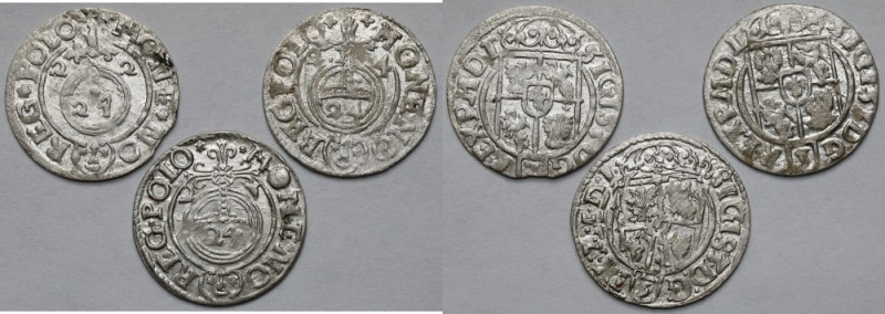 Zygmunt III Waza, Półtoraki Bydgoszcz 1622-1624 - zestaw (3szt) Bardzo ładne egz...