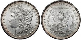 USA, Dolar 1883, Philadelphia - Morgan Dollar