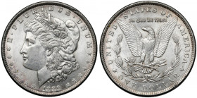 USA, Dolar 1889, Philadelphia - Morgan Dollar