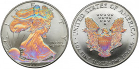 USA, Dolar 2000, Philadelphia - Holo - Walking Liberty