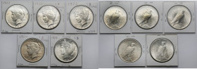 USA, Dolar 1922-1925 - Peace Dollar - zestaw (5szt)