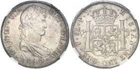 1819. Fernando VII. Potosí. PJ. 8 reales. (Cal. 608). En cápsula de la NGC como MS62+, nº 4668527-002. Bella. EBC+.