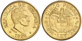 1928. Colombia. Medellín. 5 pesos. (Fr. 115) (Kr. 204). 7,93 g. AU. Bella. EBC+.