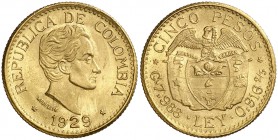 1929. Colombia. Medellín. 5 pesos. (Fr. 115) (Kr. 204). 7,97 g. AU. Bella. EBC+.