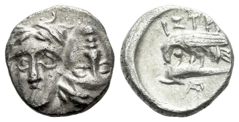 Moesia, Istros Quarter drachm IV century BCc, AR 11.00 mm., 1.26 g.
Facing male...