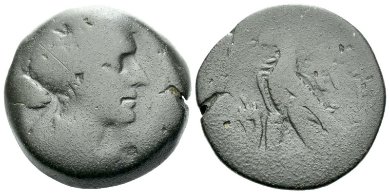 The Ptolemies, Cleopatra VII Thea Neotera, 51-30 Diobol-80 Drachmae, Alexandria ...