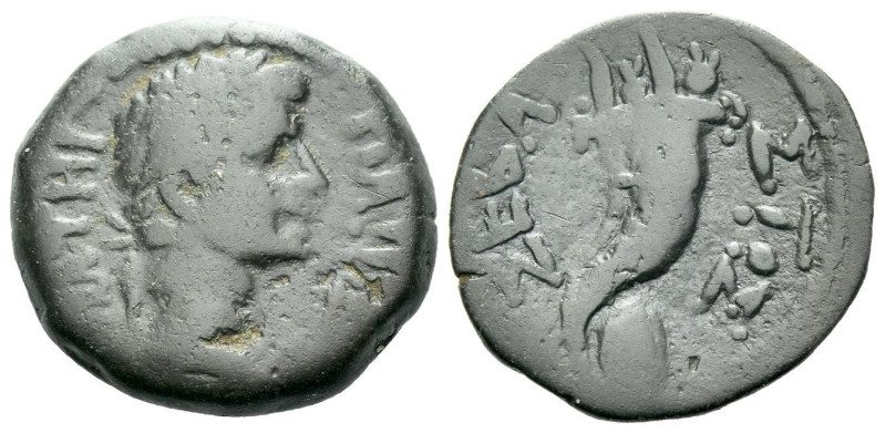 Egypt, Alexandria Octavian as Augustus, 27 BC – 14 AD Obol circa 1-5 AD, Æ 20.10...