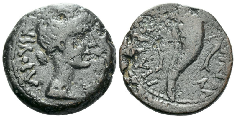 Egypt, Alexandria In the name of Livia, wife of Augustus Diobol circa 1-5 AD, Æ ...