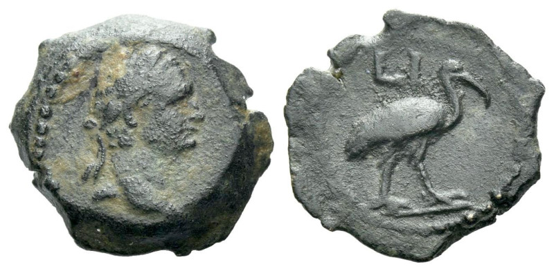Egypt, Alexandria Domitian, 81-96 Dichalcon circa 90-91 (year 10), Æ 14.40 mm., ...