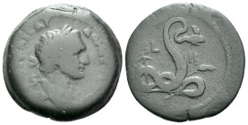 Egypt, Alexandria Domitian, 81-96 Diobol circa 92-93 (year 12)