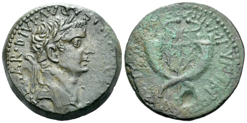 Tiberius, 14-37 Dupondius Commagene circa 19-20, Æ 29.50 mm., 15.12 g.
Laureate...