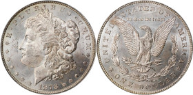 1878 Morgan Silver Dollar. 7 Tailfeathers. Reverse of 1878. MS-63 (PCGS).

PCGS# 7074. NGC ID: 253K.