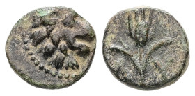 Thrace, Lysimacheia, Ae, 0,68 g. - 9.34 mm. Circa 225-199/8 BC.
Obv.: Lion head to right.
Rev.: ΛΥ-ΣΙ, Barley ear.
Ref.: BMC 19; CNG Mail Bid Sale 76 ...