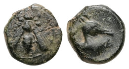 Ionia, Ephesos. Ae, 0.62 g. - 9.08 mm. ca. 405-390 BC.
Obv.: Bee
Rev.: Head of stag right.
Ref.: SNG Kayhan 147-88; SNG München 34
Fine.