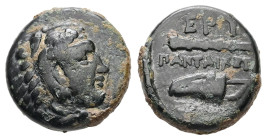 Ionia, Erythrai. Ae, 2.38 g. - 12.92 mm. 4th century BC.
Obv.: Head of Herakles right, wearing lion skin.
Rev.: EPY / ΠΑΝΤΑΙΚ**, Club left above bow i...