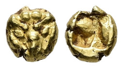 Ionia, Samos. EL 1/48 Stater, 0.34 g 5.12 mm. Circa 600-570 BC.
Obv: Head of lioness or panther facing.
Rev: Incuse square with irregular markings.
Re...