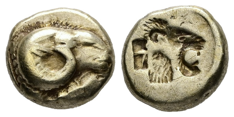 Lesbos. Mytilene. EL Hekte, 2.46 g 10.89 mm. Circa 521-478 BC. 
Obv: Head of a r...