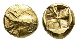 Mysia, Kyzikos. EL 1/24 Stater, 0.63 g 6.73 mm. Circa 600-550 BC.
Obv: Tunny fish right 
Rev: Square incuse punch.
Ref: SNG von Aulock-1168; Von Fritz...
