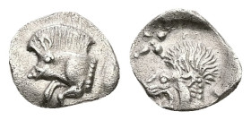 Mysia, Kyzikos. AR Hemiobol, 0.39 g 9.73 mm. Circa 450-400 BC.
Obv: Forepart of boar left; to right, tunny upward.
Rev: Head of roaring lion left; sta...