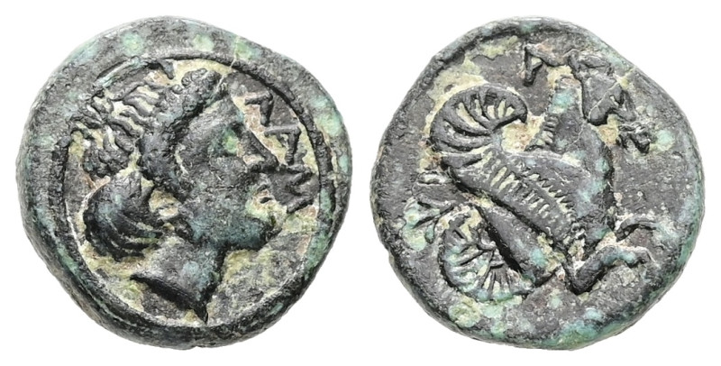 Mysia, Lampsakos. AE, 1.34 g. - 11.69 mm. 4th-3rd cent. BC.
Obv.: ΛΑΜ, Laureate ...