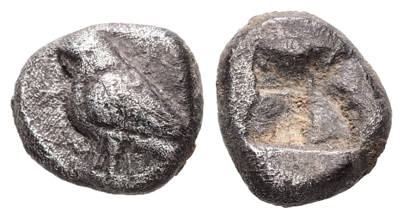 Troas, Abydos. AR Diobol, 1.34 g 9.66 mm. Circa 500-480 BC.
Obv: Eagle standing ...