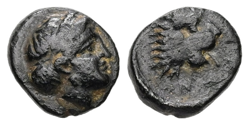 Troas, Antandros. Ae, 0.73 g. - 9.10 mm. 4th-3rd centuries BC.
Obv.: Laureate he...