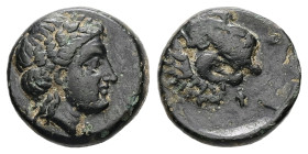 Troas, Antandros. Ae, 1.63 g 11.72 mm. 4th-3rd centuries BC.
Obv: Laureate head of Apollo right.
Rev: [ANTAN]. Head of lion right, tongue protruding; ...