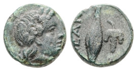 Troas, Neandria. Ae, 1.08 g 10.43 mm. Circa 400-300 BC.
Obv: Laureate head of Apollo to right
Rev: NEAN; corn grain, bunch of grapes to right.
Ref: SN...