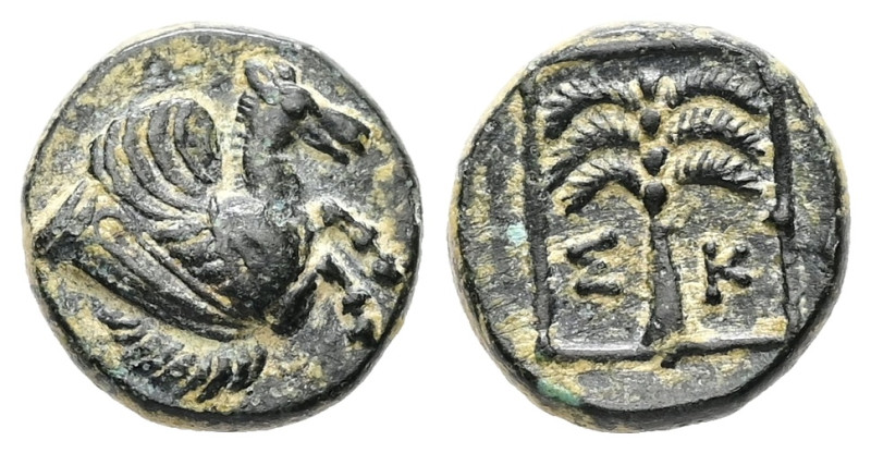Troas, Skepsis.Ae, 1.35 g 10.72 mm. 4th-3rd centuries BC.
Obv: Forepart of Pegas...
