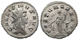 Gallienus, AD 253-268. AR, Antoninianus. 3.32 g. 20.56 mm. Rome.
Obv: GALLIENVS AVG. Bust of Gallienus, radiate, right.
Rev: FORTVNA REDVX. Fortuna, d...