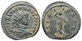 Numerian, AD 283-284. Antoninianus. 3.57 g. 23.72 mm. Ticinum.
Obv: IMP NVMERIANVS P F AVG. Bust of Numerian, radiate, draped, right.
Rev: SECVRIT AVG...