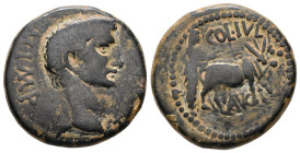 Phoenicia, Berytus. Claudius (?), AD 41-54. AE. 12.54 g. 25.08 mm.
Obv: […] IMP. Bare head of Claudius, right.
Rev: COL IVL AVG. Veiled figure ploughi...