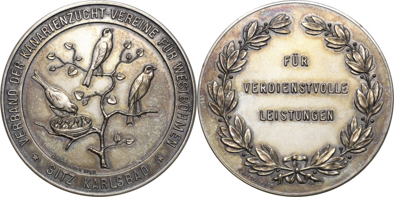 Medaillen
 Versilberte Bronzemedaille o.J. (Christlbauer) Verdienstmedaille des...