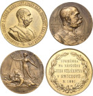 Kaiserreich Österreich
Franz Joseph I. 1848-1916 Bronzemedaille 1914 (Neuberger/Hartig) Beginn des 1. Weltkriegs. Brustbild nach rechts / Victoria mi...