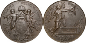Medaillen
 Bronzemedaille 1896 (Fülöp Ö. Beck) Erinnerungsmedaille der Ausstellung anlässlich der 1000-Jahrfeier von Ungarn. 2 Putti halten die Steph...