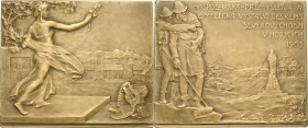 Medaillen
Bronzeplakette 1903 (O. Spaniel) Wirtschafts-, Industrie und Kunstausstellung in Horice (Horschitz). Frauengestalt in langem Gewand begrüßt...