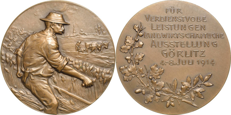 Görlitz
 Bronzemedaille 1914 (B.H. Mayer) Preismedaille für verdienstvolle Leis...