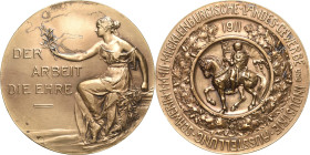 Schwerin
 Vergoldete Bronzemedaille 1911 (Oertel) III. Mecklenburgische Landesgewerbe- und Industrieausstellung. Weiblicher Genius sitzt nach links, ...