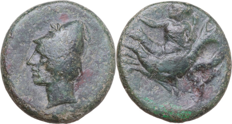 Greek Italy. Bruttium, Scylletium. AE 19.5 mm, c. 350-325(?) BC. Obv. Male head ...