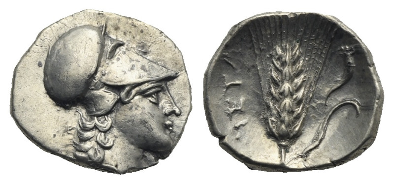 Lucania. Metapontion. Circa 325-275 BC. Diobol (Silver, 12.49 mm, 1.28 g) Head o...