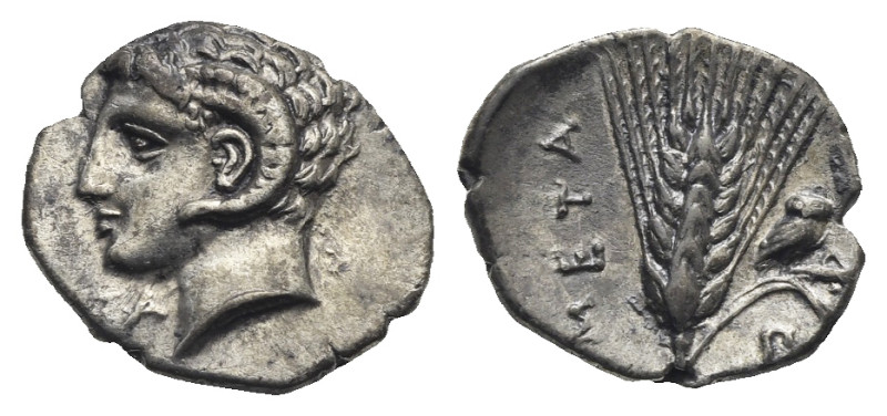 Lucania. Metapontion. Circa 325-275 BC. Diobol (Silver, 12.51 mm, 1.09 g) Head o...