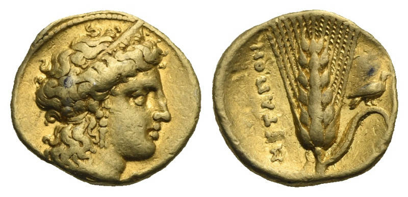 Lucania. Metapontion, Time of Alexander the Molossian. Circa 340-330 BC. Third S...