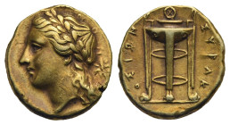Sicily. Syracuse, Agathokles. Circa 310-305 BC. 25 Litrai or Hemistater (Electrum, 14.63 mm, 3.60 g). Laureate head of Apollo left; behind, star. Rev....