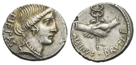 D. Junius Brutus Albinus, 48 BC. Denarius (Silver, 18.64 mm, 3.72 g), Rome. PIETAS, head of Pietas right. Rev. ALBINVS BRVTI F, two hands clasped and ...