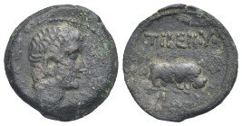 Egypt. Alexandria. Tiberius, 14-37. Obol (Bronze, 20.56 mm, 4.61 g). Dated RY 5 (= 18-19). Bare head of Tiberius right. Rev. ΤΙΒΕΡΙΟΥ above. Hippopota...